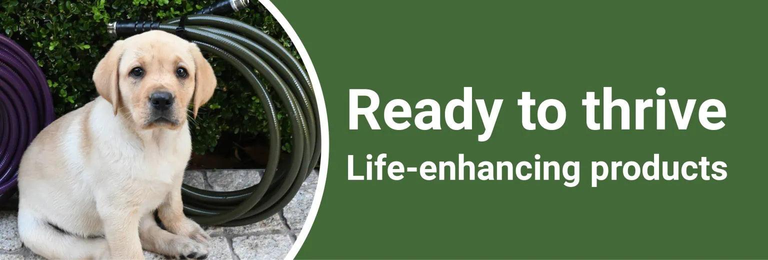 Ready to thrive – FMCG September 2023