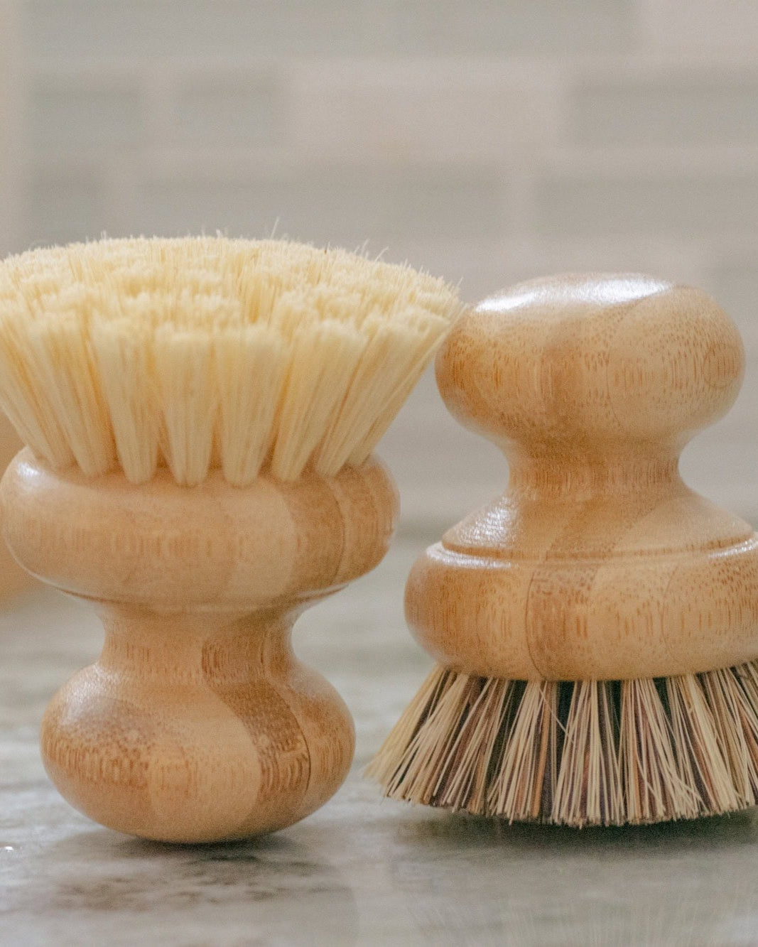 Casa Agave - Dish Washing Brush