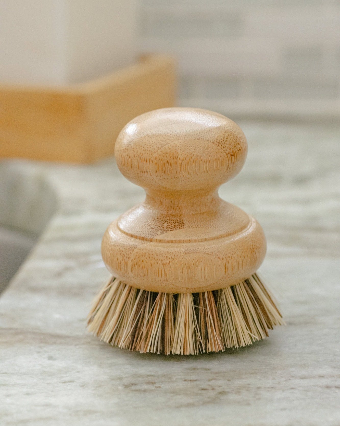 Casa Agave - Pot Scrubbing Brush