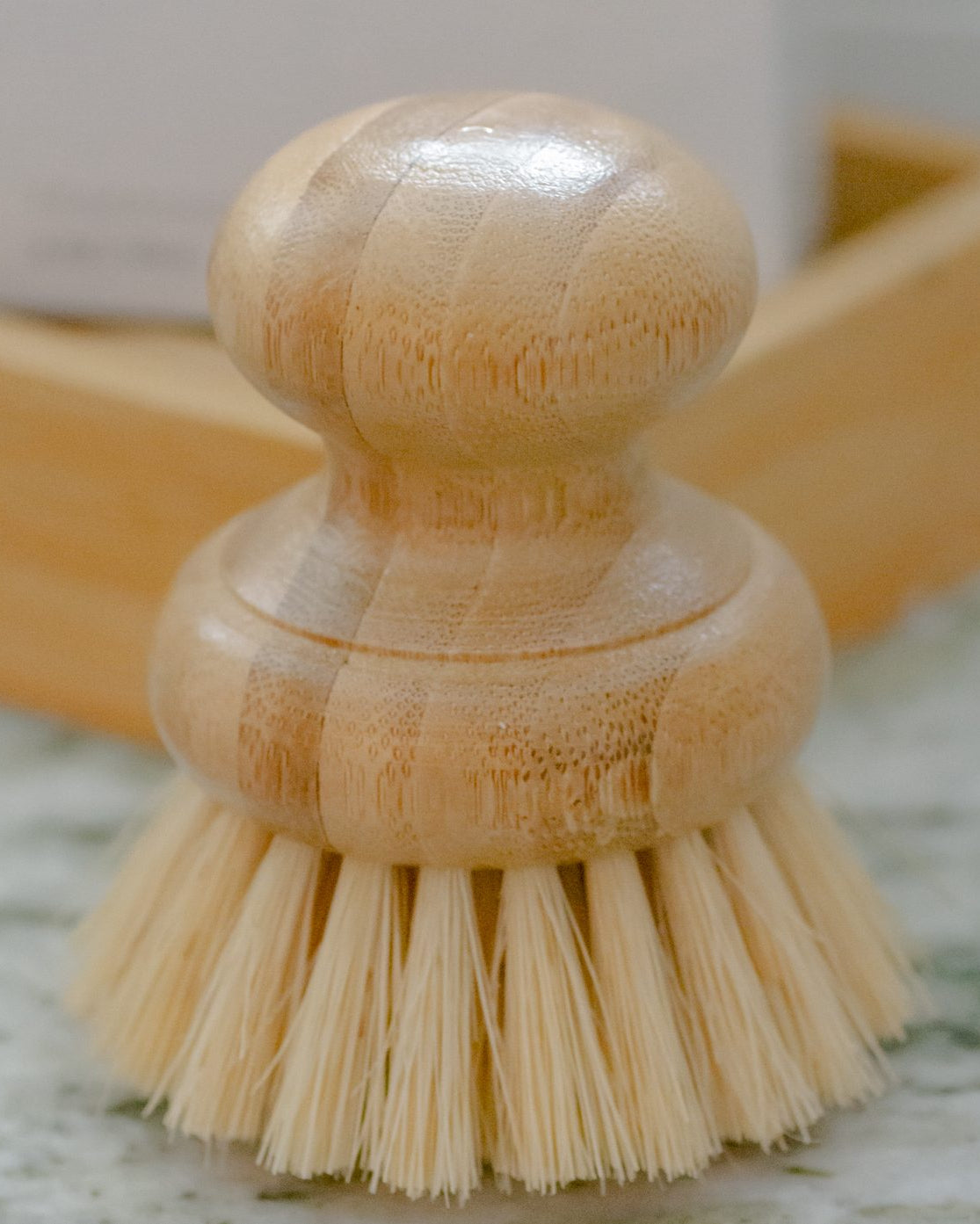 Casa Agave - Dish Washing Brush