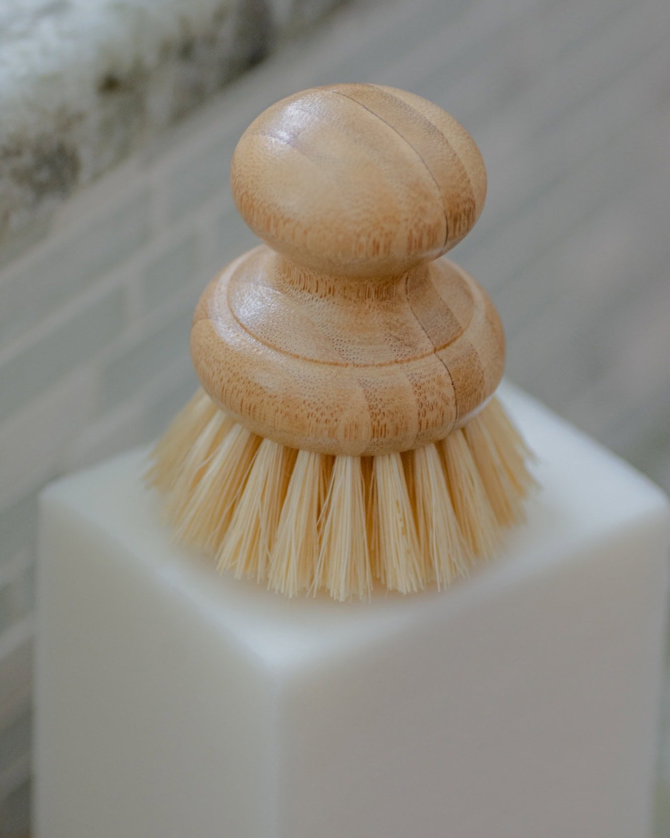 Casa Agave - Dish Washing Brush