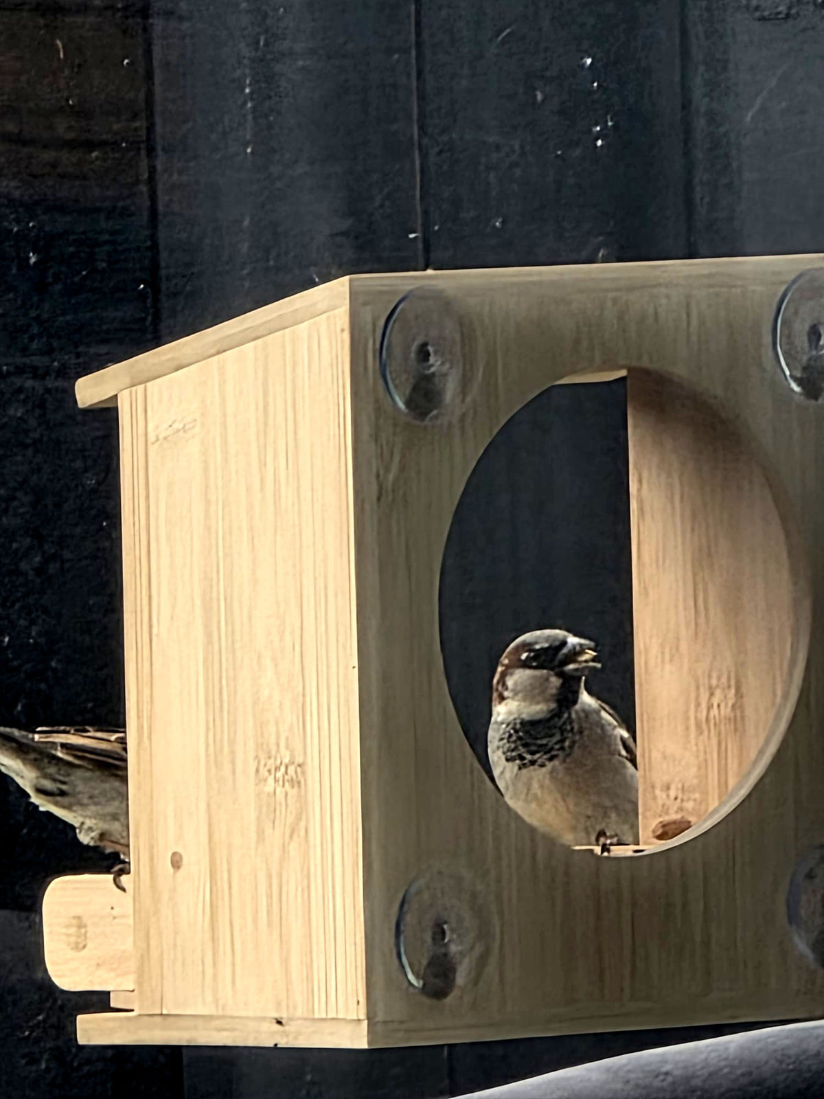 Interactive Birdhouse