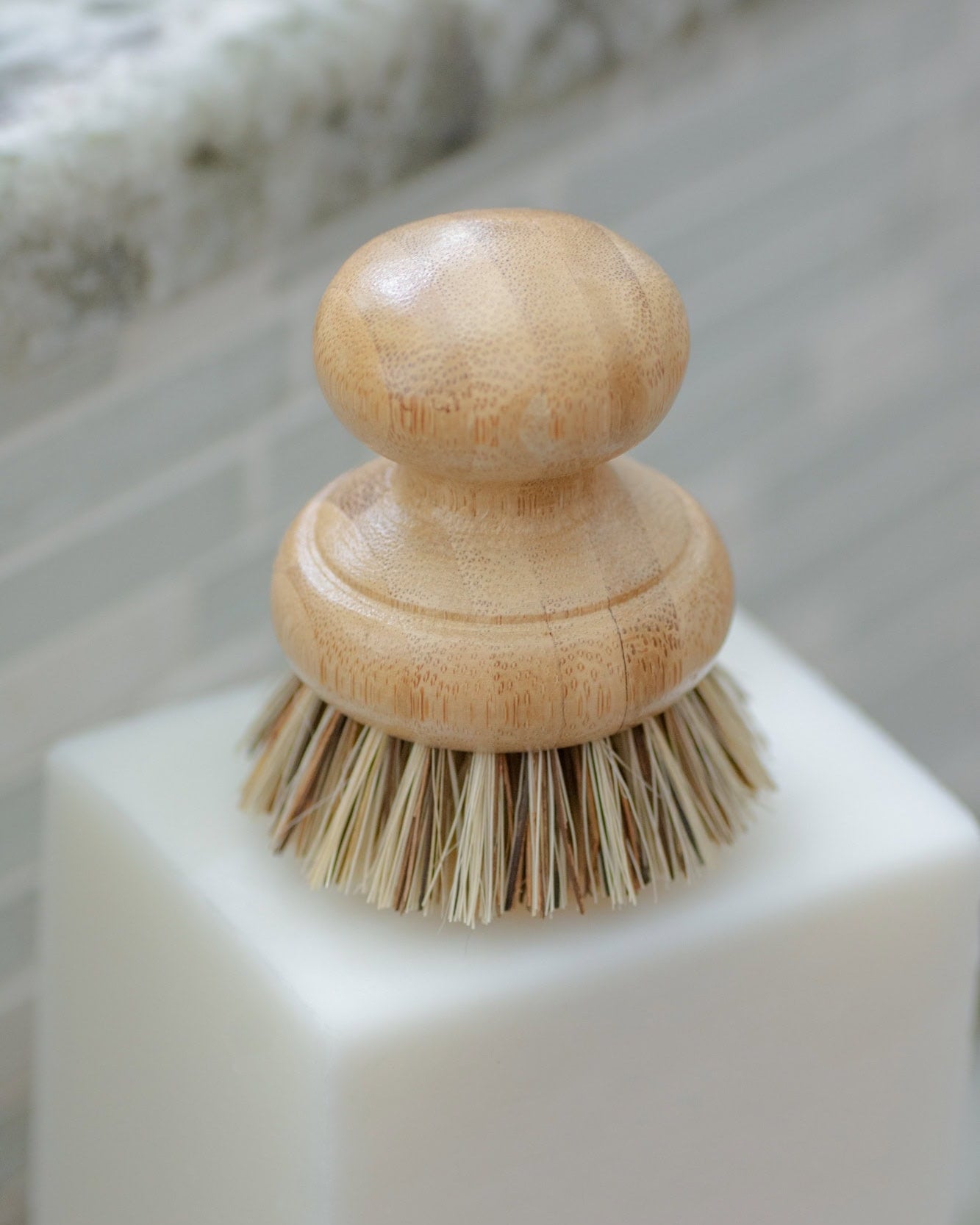 Casa Agave - Pot Scrubbing Brush