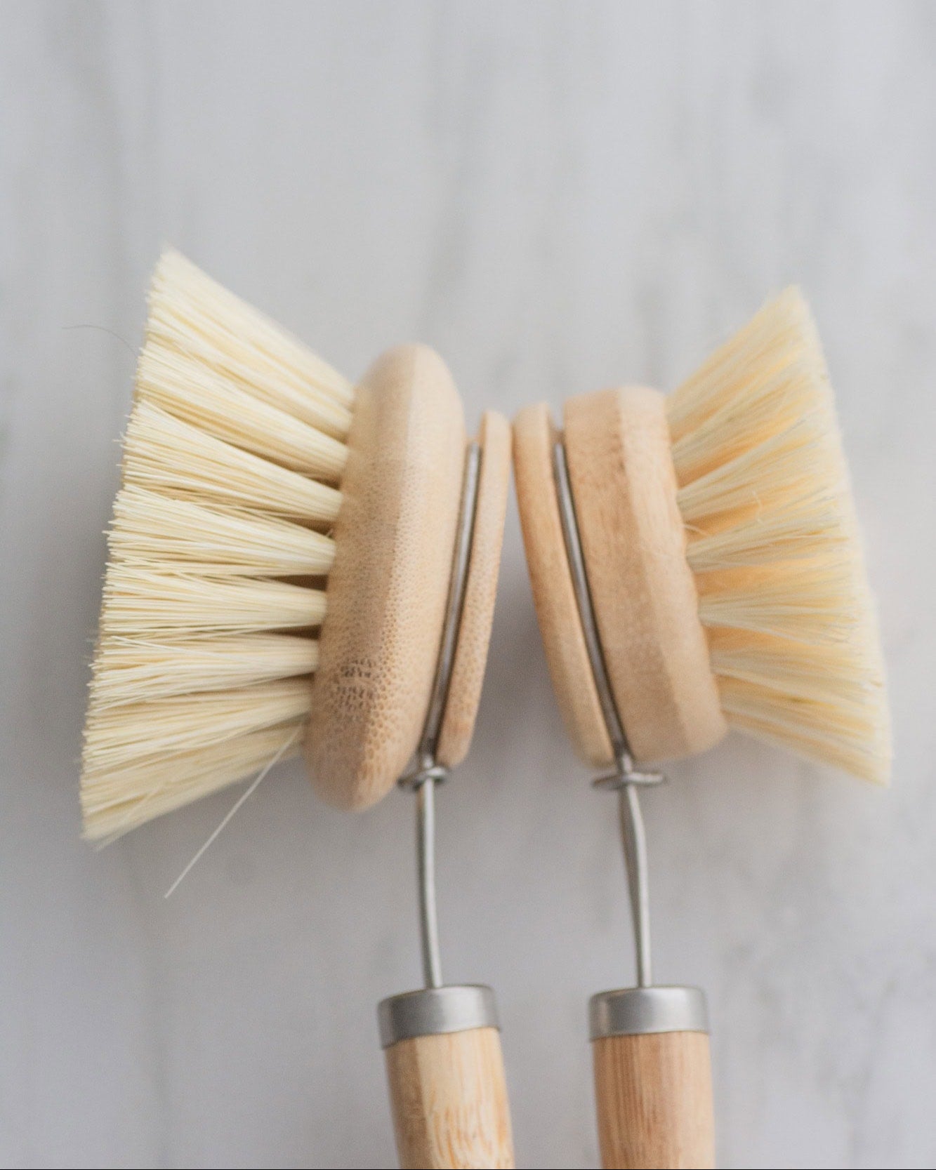 Casa Agave - Long Handle Dish Brush with Replaceable Head