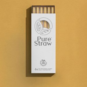 Transparent Reusable Straws with Cleaning Brush <small>Gold</small>
