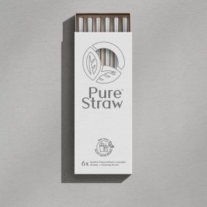 Transparent Reusable Straws with Cleaning Brush <small>Silver</small>